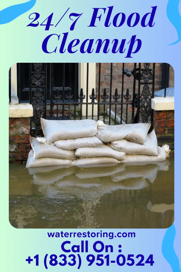 24/7 Flood Cleanup in Rio, IL