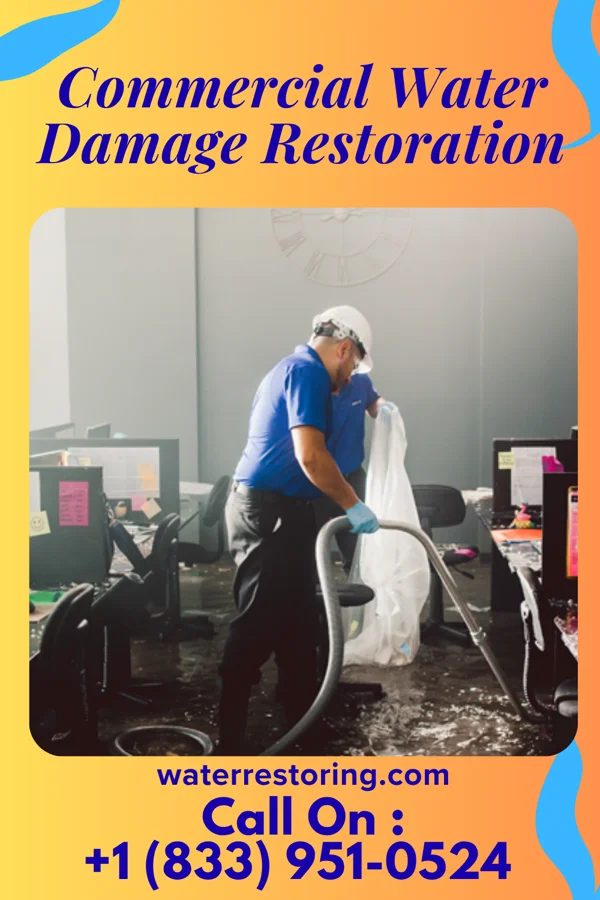 Commercial Water Damage Restoration in Rio, IL