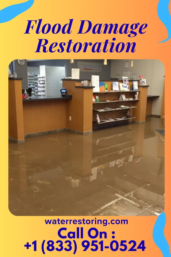 Flood Damage Restoration in Rio, IL